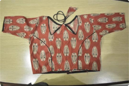 Designer Blouse Collection 1